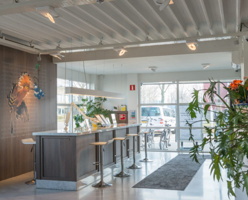 image showing the Blue Tomato Coffeeshop Hoorn - Bright, modern, clean interior design